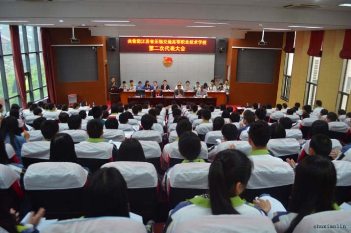 共青团米兰体育·（中国）网站首页第二次代表大会隆重举行